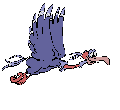 Vulture03 Vulture03