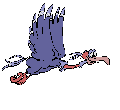 Vulture03